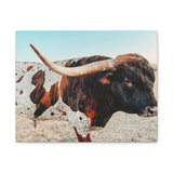 Iron Dragon Longhorn Bull Horizontal Canvas