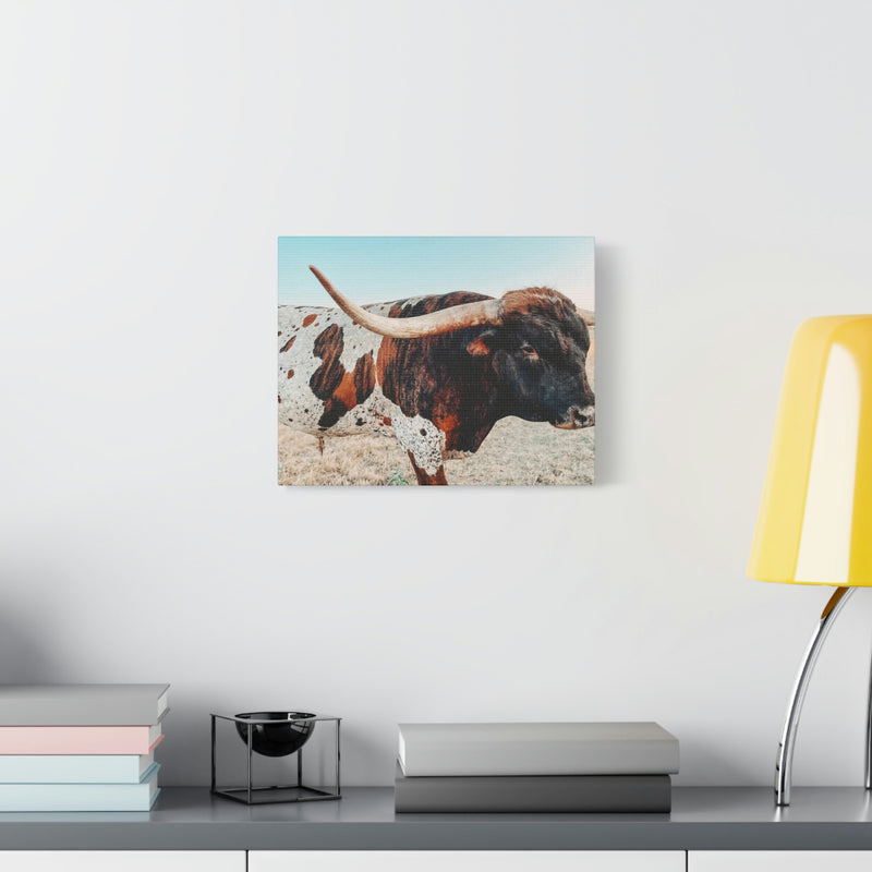 Iron Dragon Longhorn Bull Horizontal Canvas