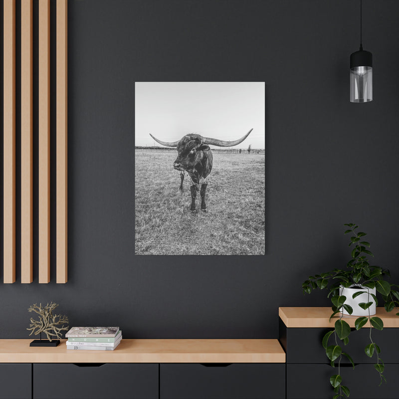 B&W Longhorn Bull Vertical Canvas