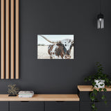 Charlotte The Longhorn Cow Horizontal Canvas