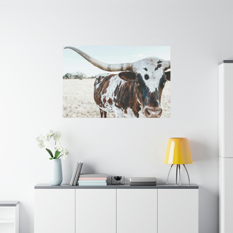 Charlotte The Longhorn Cow Horizontal Canvas