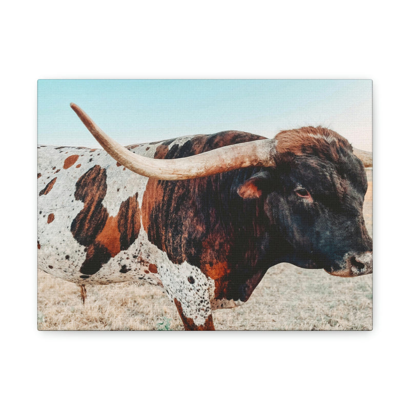 Iron Dragon Longhorn Bull Horizontal Canvas