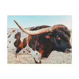 Iron Dragon Longhorn Bull Horizontal Canvas