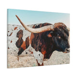 Iron Dragon Longhorn Bull Horizontal Canvas