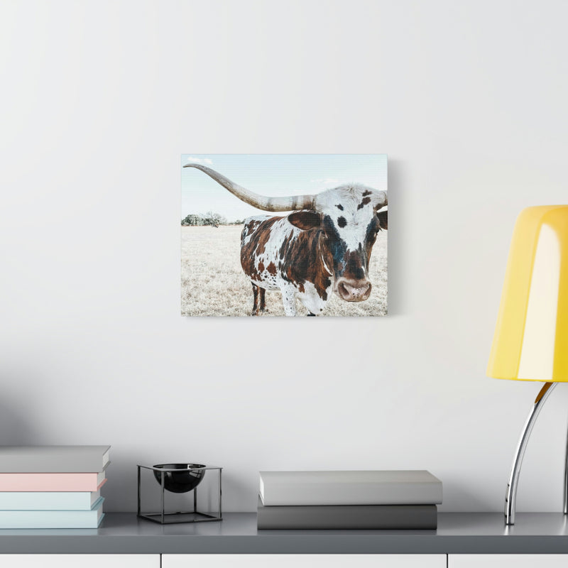 Charlotte The Longhorn Cow Horizontal Canvas