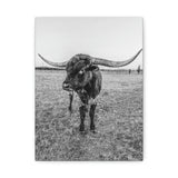 B&W Longhorn Bull Vertical Canvas