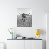 B&W Longhorn Bull Vertical Canvas