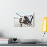 Charlotte The Longhorn Cow Horizontal Canvas