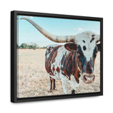 Charlotte The Longhorn Canvas with Wood Frame