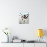 Charlotte Longhorn Cow Vertical Canvas