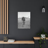 B&W Longhorn Bull Vertical Canvas