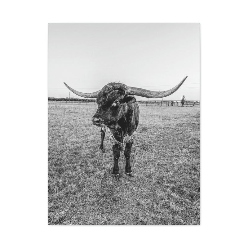 B&W Longhorn Bull Vertical Canvas