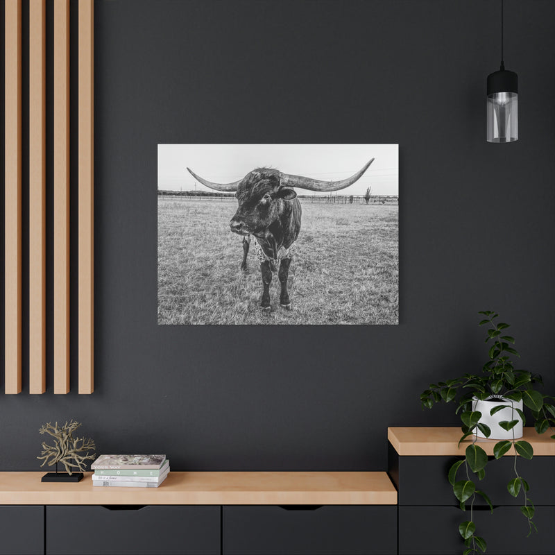 B&W Longhorn Bull Horizontal Canvas