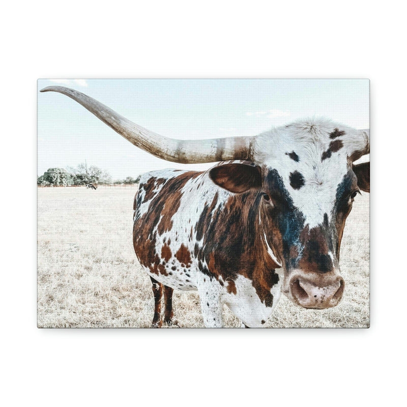 Charlotte The Longhorn Cow Horizontal Canvas