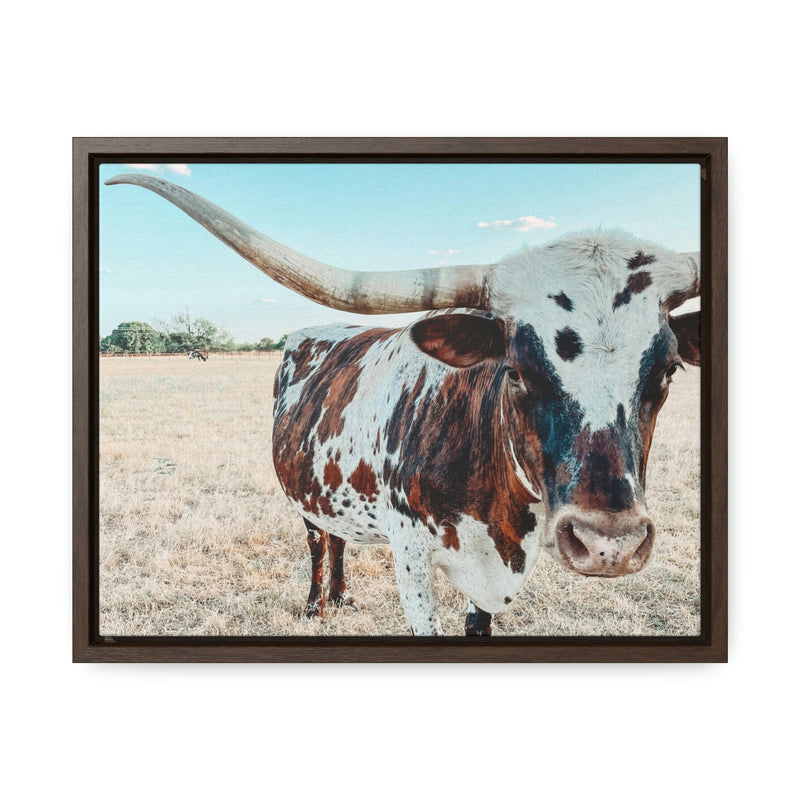 Charlotte The Longhorn Canvas with Wood Frame