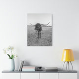 B&W Longhorn Bull Vertical Canvas