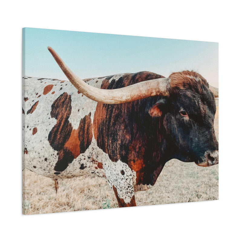 Iron Dragon Longhorn Bull Horizontal Canvas