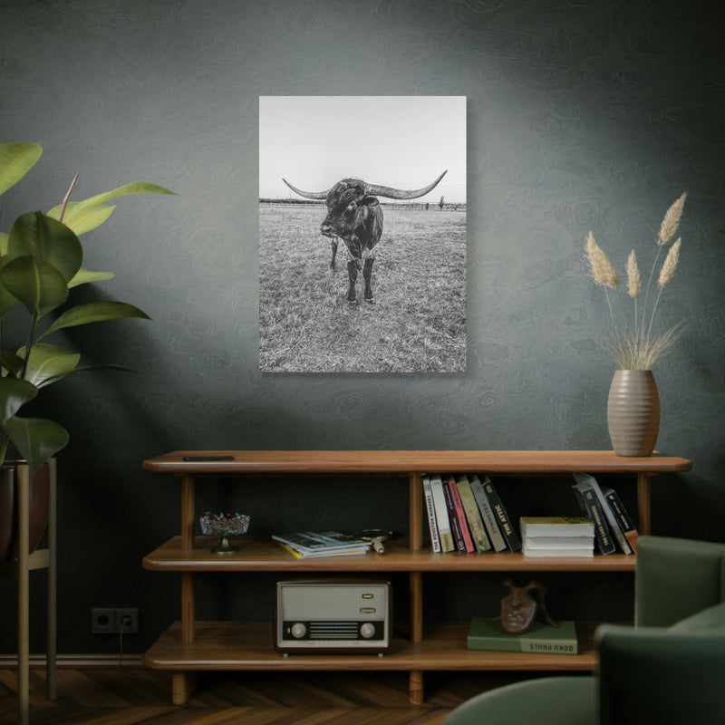 B&W Longhorn Bull Vertical Canvas