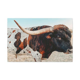 Iron Dragon Longhorn Bull Horizontal Canvas