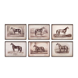 Prized Race Horse Framed Prints- Set of 6