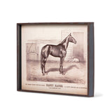 Prized Race Horse Framed Prints- Set of 6
