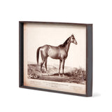 Prized Race Horse Framed Prints- Set of 6