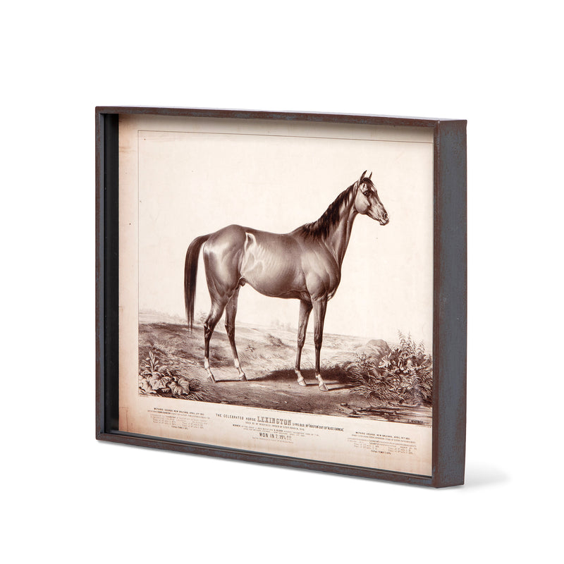 Prized Race Horse Framed Prints- Set of 6