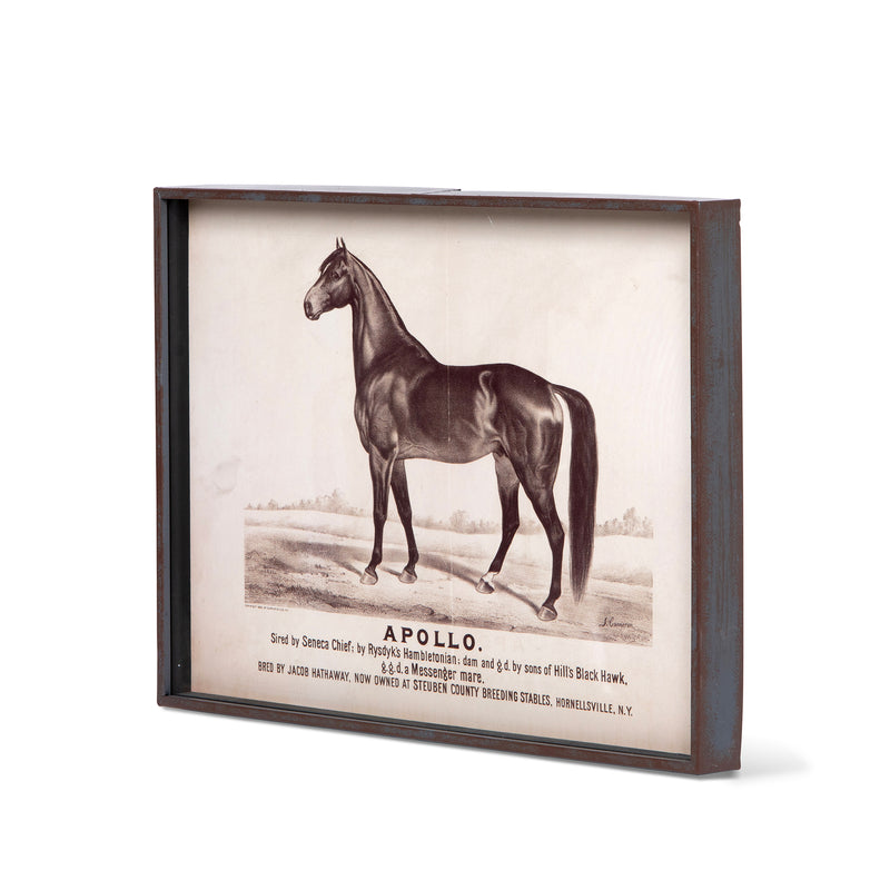Prized Race Horse Framed Prints- Set of 6