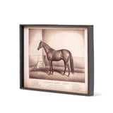 Prized Race Horse Framed Prints- Set of 6