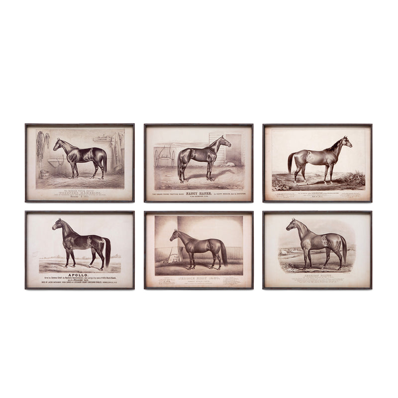 Prized Race Horse Framed Prints- Set of 6