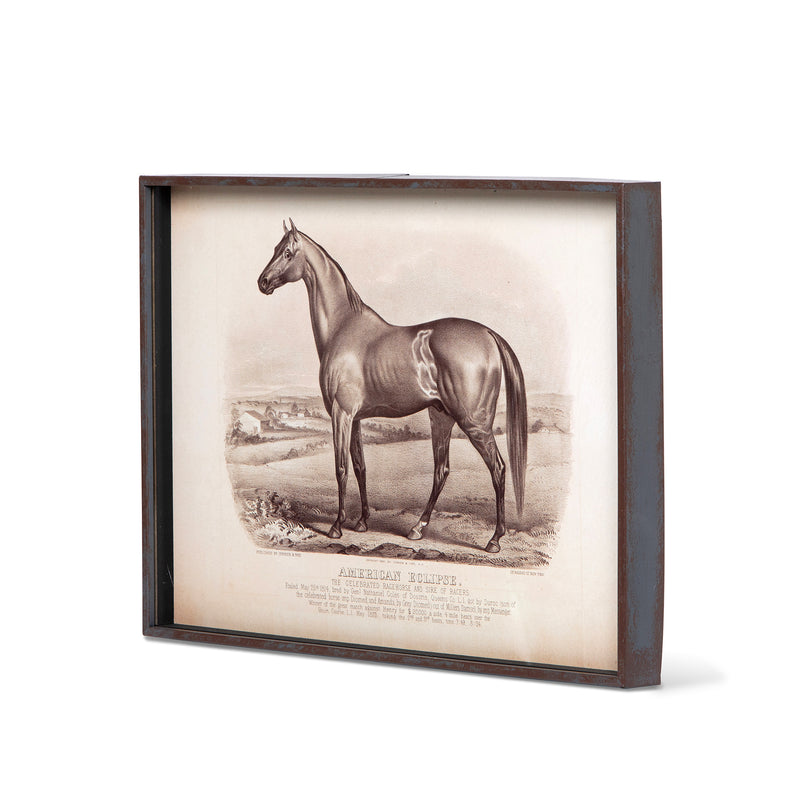 Prized Race Horse Framed Prints- Set of 6