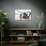 Charlotte The Longhorn Cow Horizontal Canvas