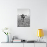 B&W Longhorn Bull Vertical Canvas