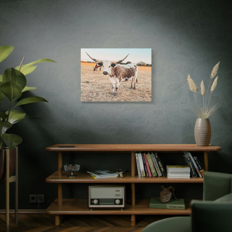 Longhorn Cow Canvas