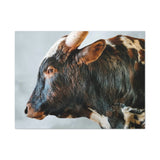 Longhorn Bull Canvas