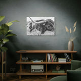 B&W Longhorn Bull Canvas