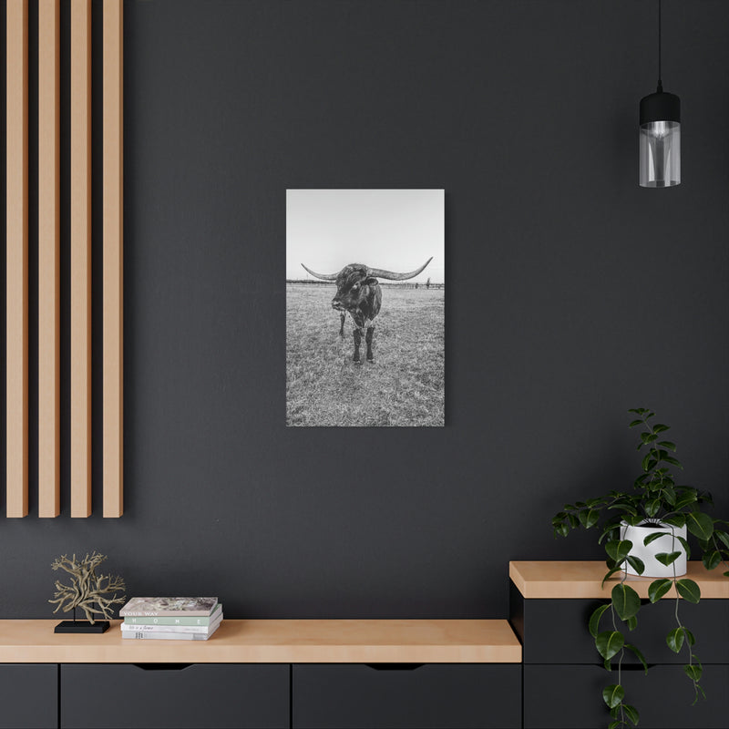 B&W Longhorn Bull Vertical Canvas