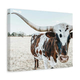 Charlotte The Longhorn Cow Horizontal Canvas