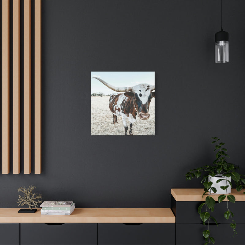 Charlotte The Longhorn Cow Square Canvas