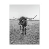 B&W Longhorn Bull Vertical Canvas