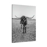 B&W Longhorn Bull Vertical Canvas