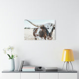 Charlotte The Longhorn Cow Horizontal Canvas