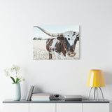 Charlotte The Longhorn Cow Horizontal Canvas