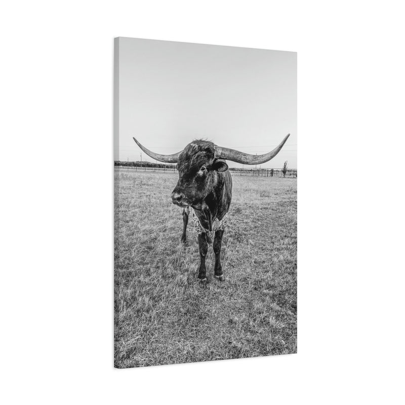 B&W Longhorn Bull Vertical Canvas