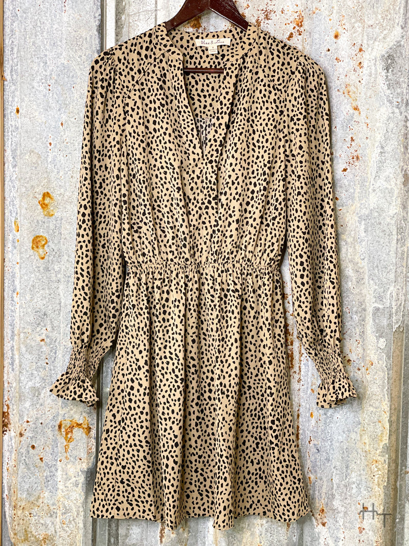 Photo of front view of long sleeve latte brown dress with black spots with a V neck on a hanger with tin background